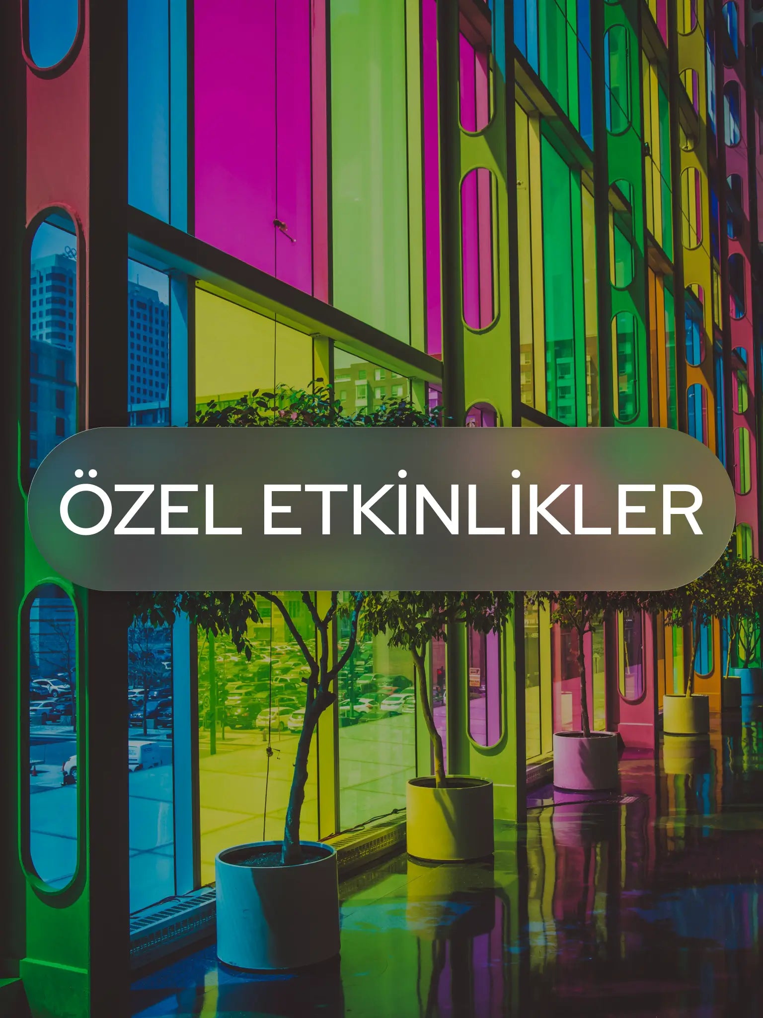 Özel Etkinlikler